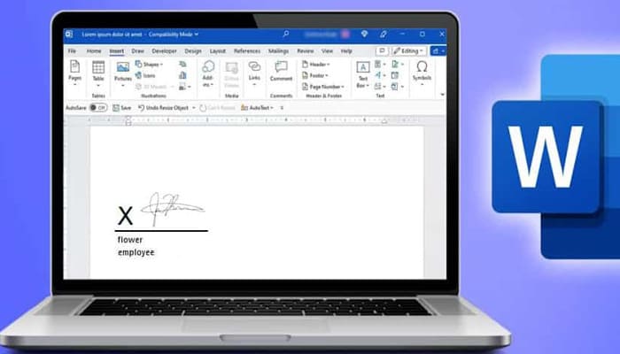 Mastering Digital Signatures in Word-A Step-by-Step Guide